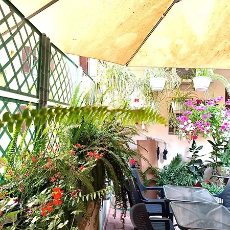 Pensión Luxury By A Casa Simpatia - Free Parking Minimum 3 Nights -on Request In Advance *